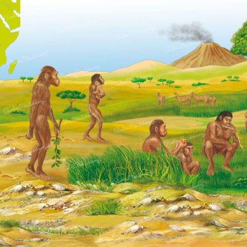 Preistoria-AUSTRALOPITECHI